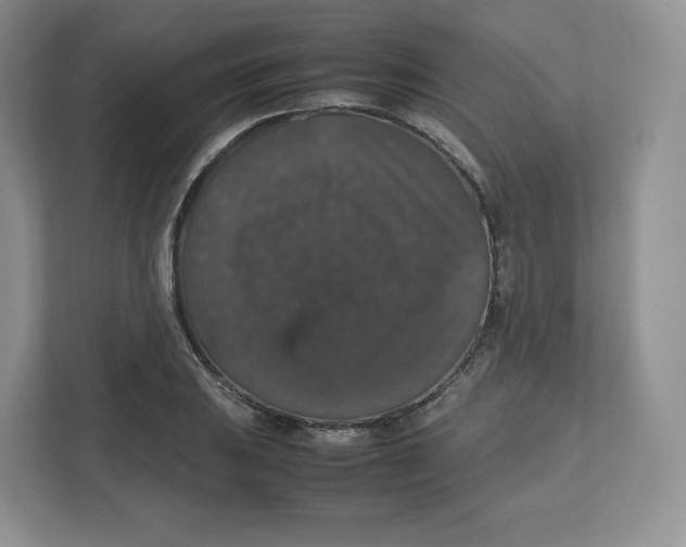 X0000112471031200909141114