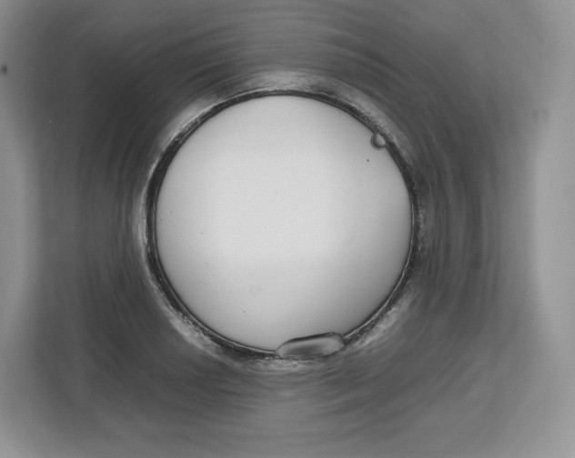 X0000112471034200909141114