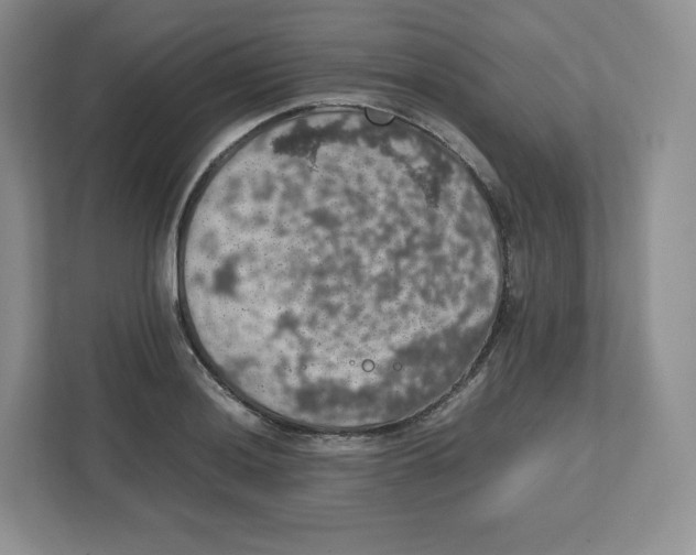 X0000112471036200909141114