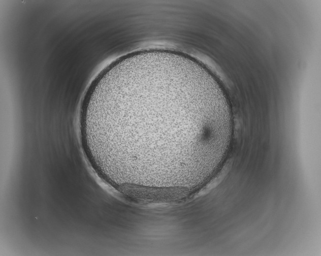 X0000112471038200909141114