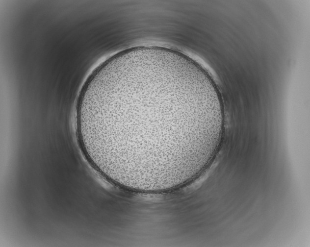 X0000112471040200909141114