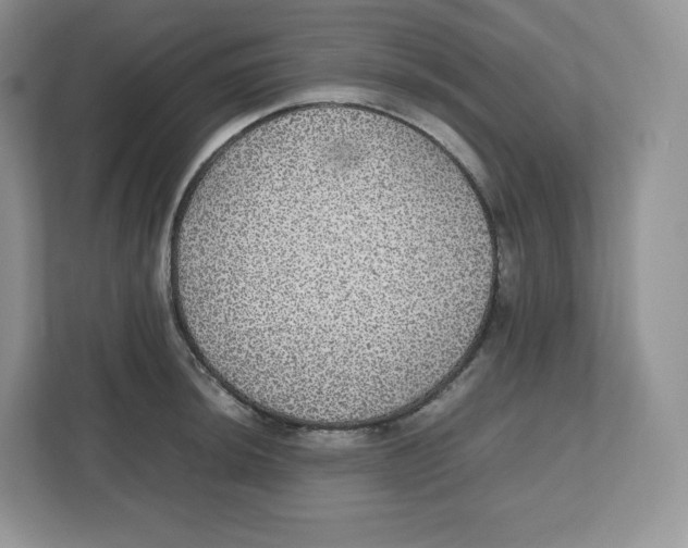 X0000112471044200909141114