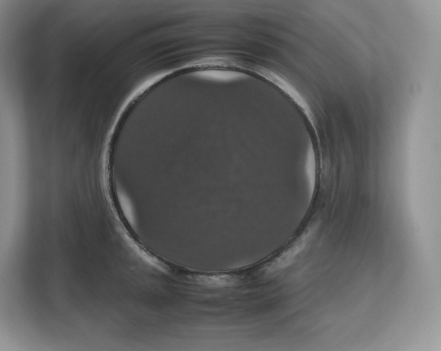 X0000112471045200909141114