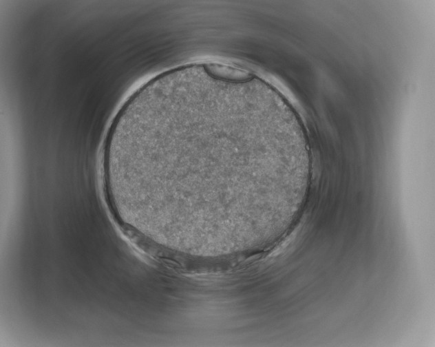 X0000112471048200909141114