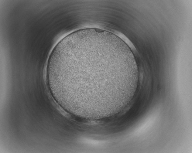 X0000112471052200909141114