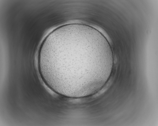 X0000112471054200909141114
