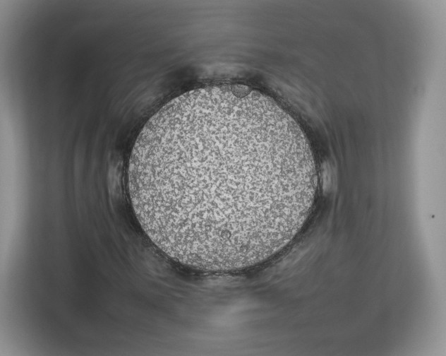 X0000112471059200909141114
