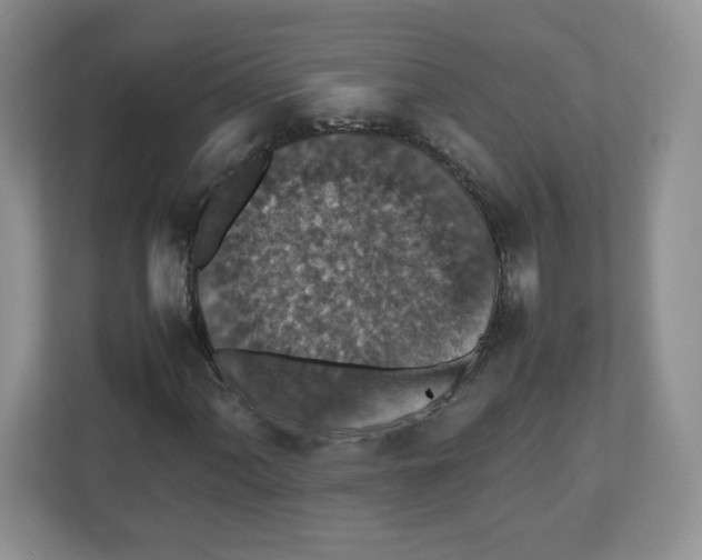 X0000112471060200909141114