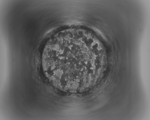 X0000112471063200909141114