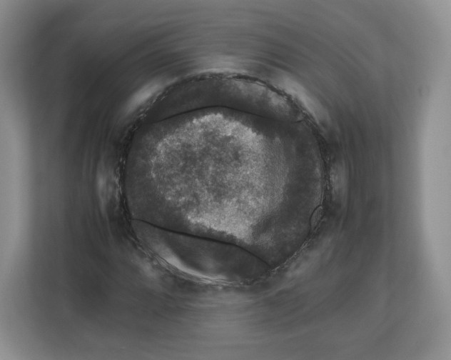 X0000112471064200909141114