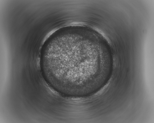 X0000112471066200909141114