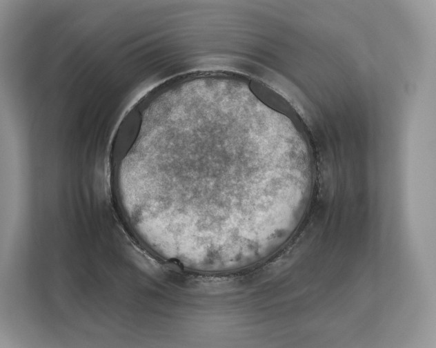 X0000112471076200909141114