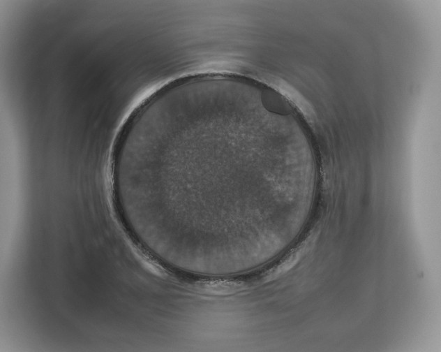 X0000112471077200909141114
