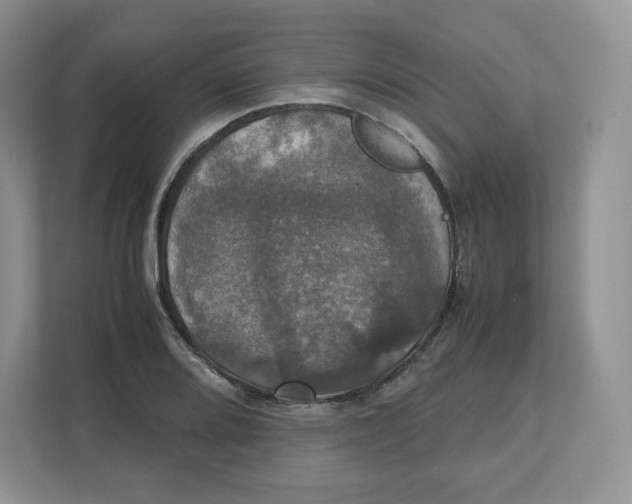 X0000112471080200909141113