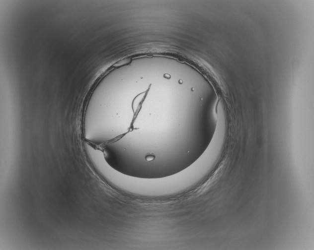 X0000112471081200909141113