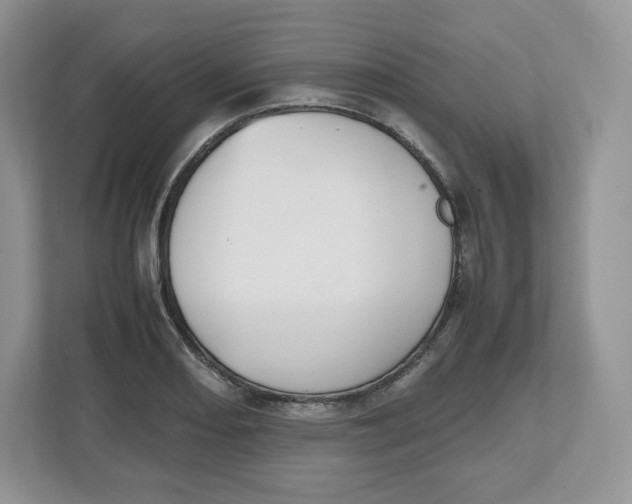 X0000112471082200909141113