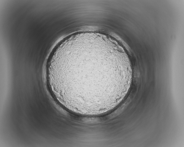 X0000112471083200909141113