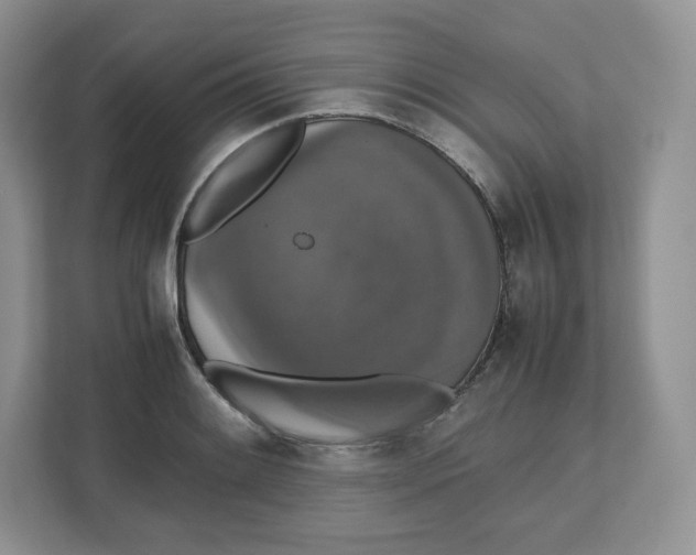 X0000112471084200909141113