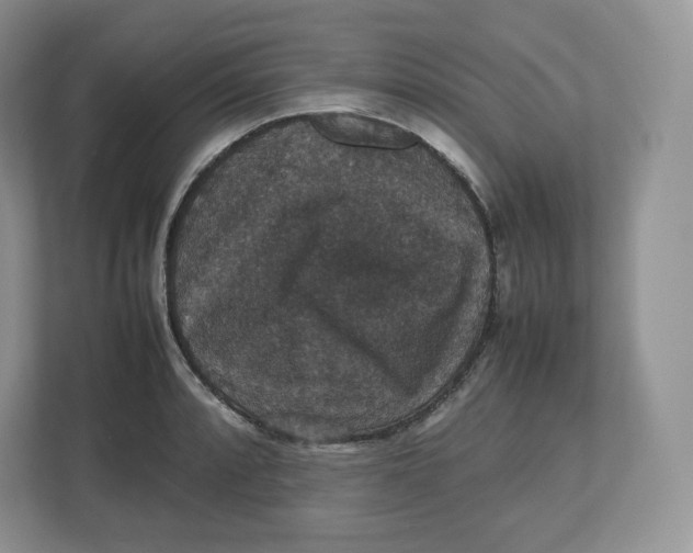 X0000112471088200909141113
