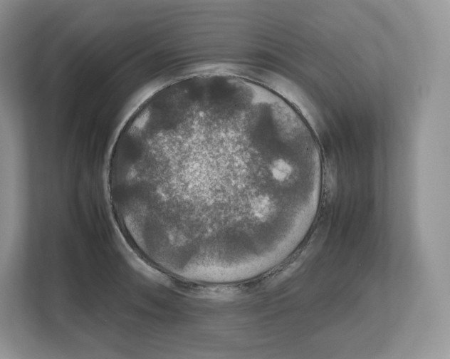 X0000112471090200909141113