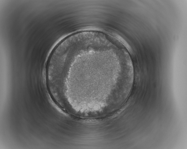 X0000112471092200909141113