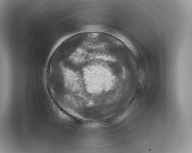 X0000112471094200909141113