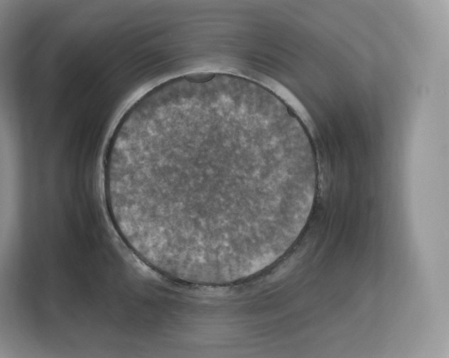 X0000112471096200909141113
