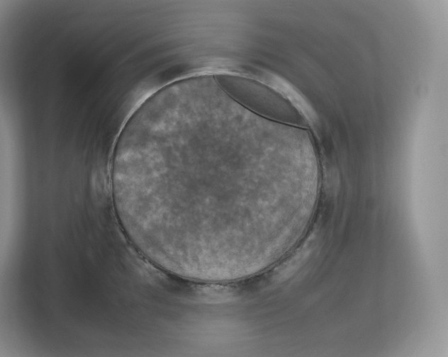 X0000112471097200909141113