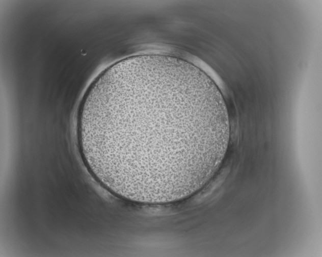 X0000112471099200909141113