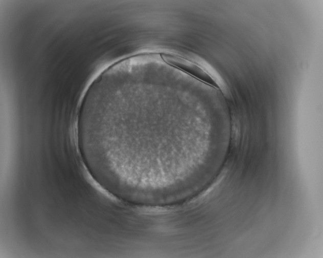 X0000112471100200909141113