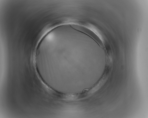 X0000112471101200909141113