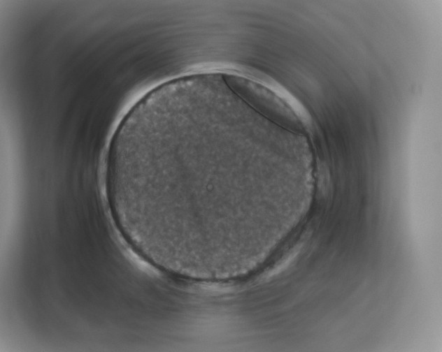 X0000112471102200909141113