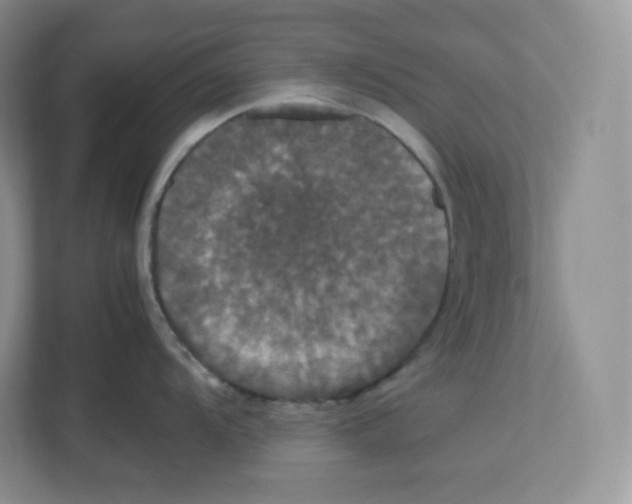X0000112471104200909141113