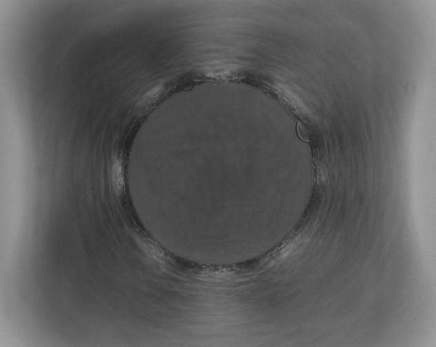 X0000112471106200909141113