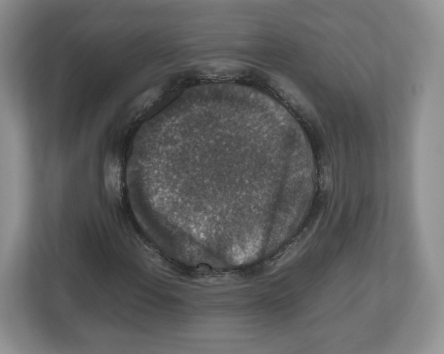 X0000112471108200909141113