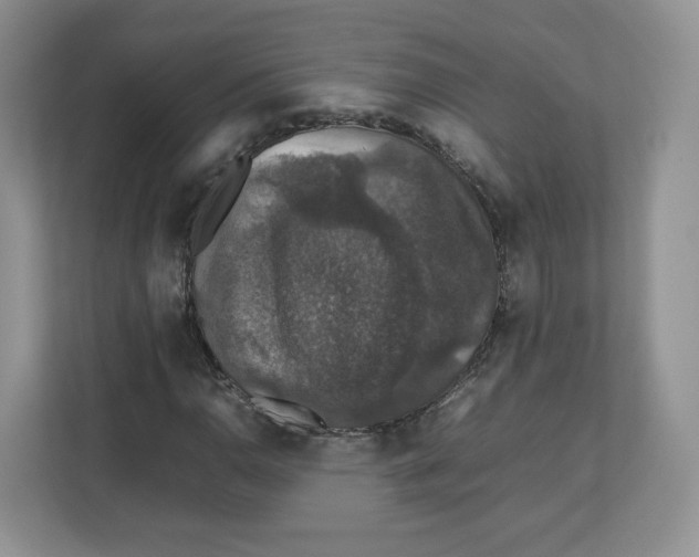 X0000112471110200909141113
