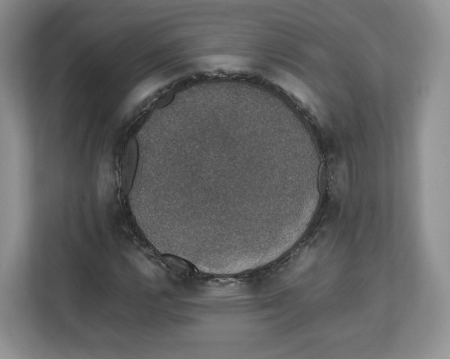 X0000112471112200909141113