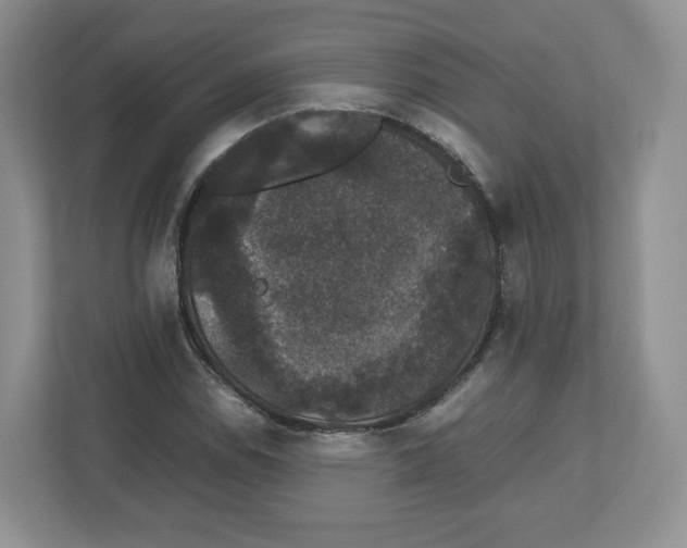 X0000112471114200909141113