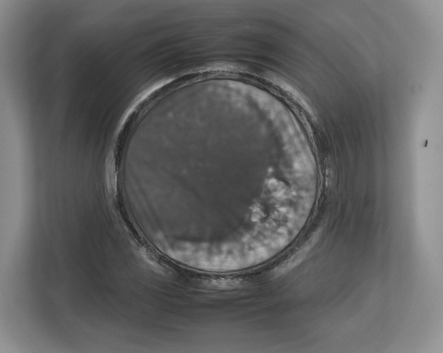 X0000112471117200909141113