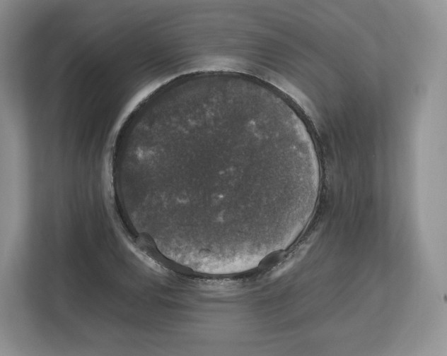X0000112471120200909141113