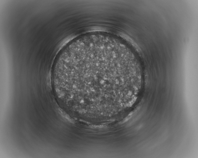 X0000112471121200909141113