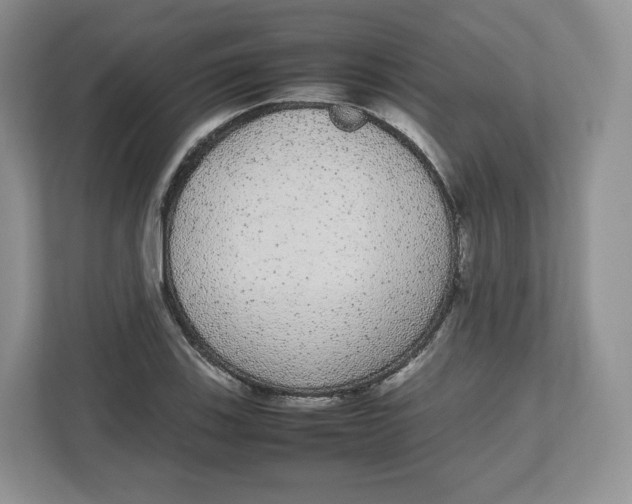 X0000112471123200909141113