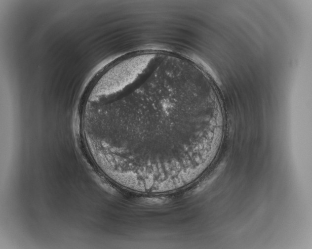 X0000112471125200909141113
