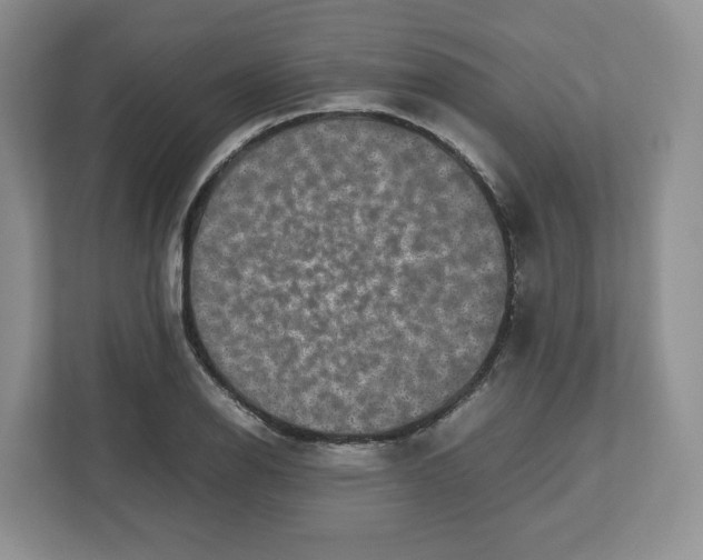 X0000112471126200909141113
