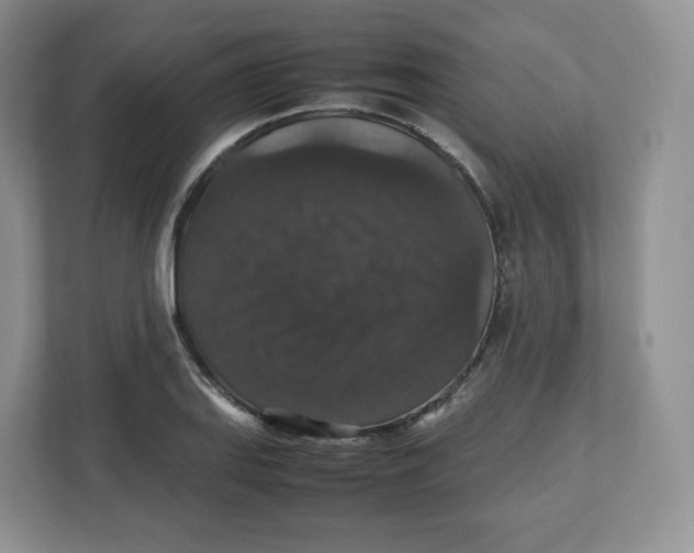 X0000112471127200909141113