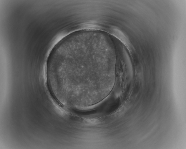 X0000112471128200909141113
