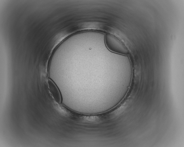 X0000112471129200909141113