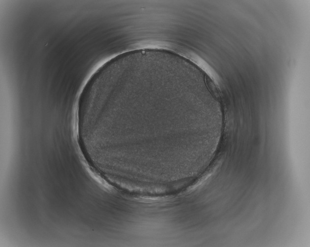 X0000112471132200909141113