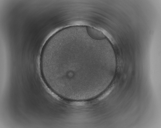 X0000112471134200909141113
