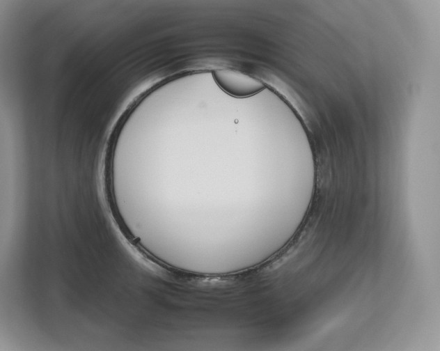 X0000112471139200909141113